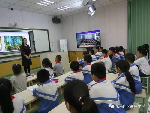 放飛想象，快樂共享 新星小學(xué)與大榮小學(xué)美術(shù)互動課堂紀(jì)實(shí)